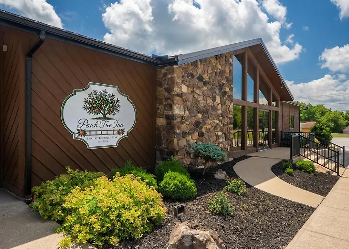 Whole Rental! 5 King Beds, 2 Hot Tubs * Cobden